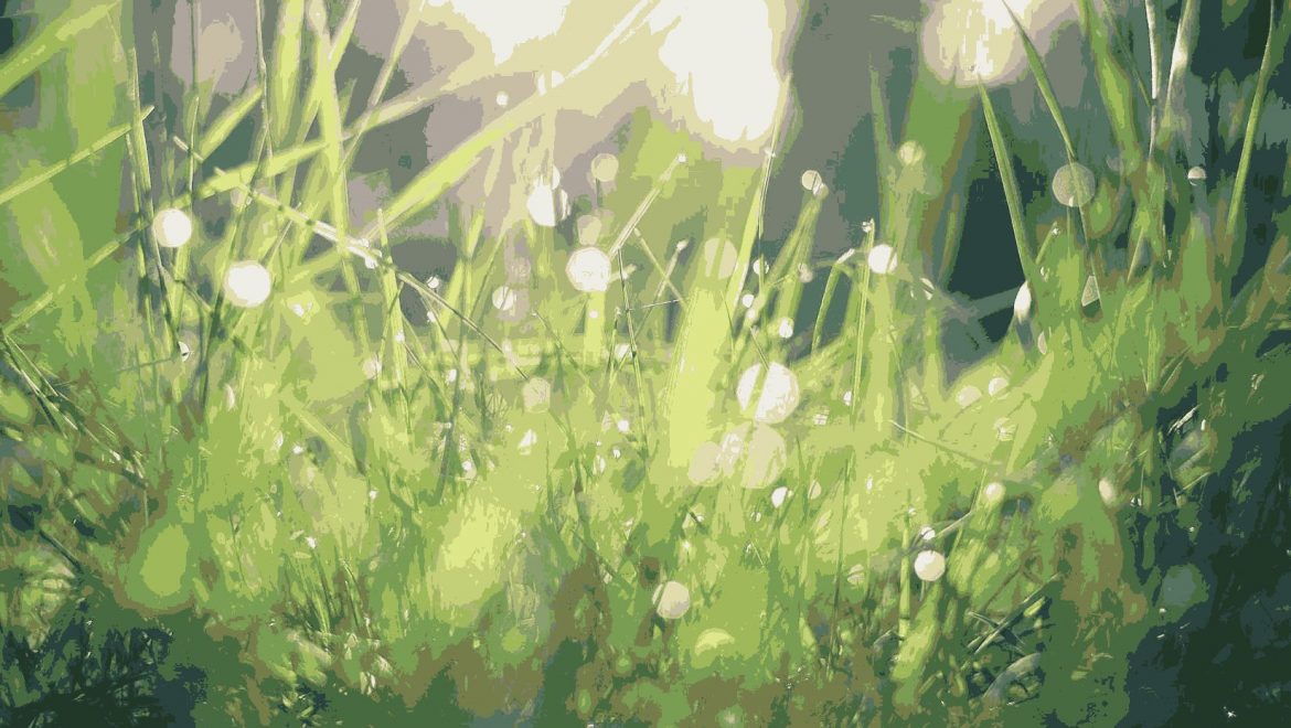 Experience the New Energy Crisis